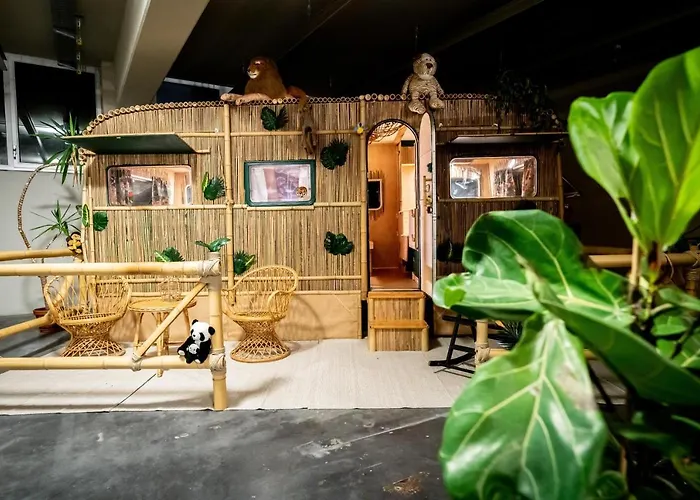 Daheim Triberg بيت شباب تيبرغ